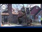 1 dead, thousands without power in Philadelphia region due to strong winds