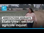 États-Unis : inquiétude du secteur agricole face aux arrestations de migrants • FRANCE 24