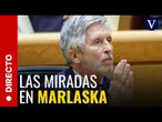 DIRECTO: El Congreso examina hoy a Marlaska, ministro del Interior, en pleno caso Leire