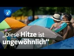 Extreme Hitze: Wann wir die 40-Grad-Marke knacken