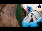 La sequía en Irak revela cuarenta tumbas antiguas en un embalse de Mosul