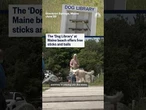 The 'Dog Library' at Maine beach offers free sticks and balls