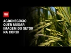 Agronegócio prepara “Agrizone” para a COP30 em Belém (PA) | WW