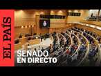 DIRECTO | Sesión de control al Gobierno en el Senado | EL PAÍS