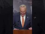 'Democracy doesn't work in the shadows' Chuck Schumer SLAMS DOGE