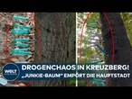 BERLIN-KREUZBERG: "Junkie-Baum" zeigt offene Drogenszene! Anwohner werfen Bezirksamt Untätigkeit vor