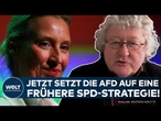 KONTAKTE ZU TRUMP: Jetzt setzt die AfD auf eine frühere SPD-Strategie! – Patzelt mit der Analyse