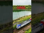 Interpelacje o węglu, a potem akcje Tauronu i PKP Cargo