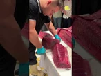 Así es un ronqueo, la técnica para dividir el atún rojo salvaje en más de 20 partes