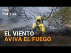 MEDIOS AÉREOS y TERRESTRES TRABAJAN en la EXTINCIÓN, que ha QUEMADO 330 HECTÁREAS | RTVE Noticias