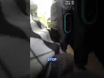 Councilwoman blocks ICE arrest of migrant