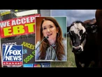 SNAP CRACKDOWN: Trump administration targets alleged food stamp fraud