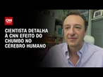 Cientista explica como chumbo influenciou na evolução do cérebro humano | LIVE CNN