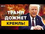 ТЕРМІНОВО! Ультиматум від Трампа  Путін ПОВИНЕН НЕГАЙНО ПРИПИНИТИ ВІЙНУ, або... @TIZENGAUZEN​