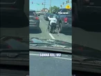 SEE IT: Motorized wheelchair keeps pace with surrounding vehicles #shorts #foxnews