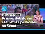 France: réintroduction de pesticides, partage de l'eau et loup en débat au Sénat • FRANCE 24