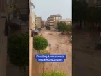 Extreme flooding caused by Storm Tamara turned roads in Murcia, Spain into RAGING rivers