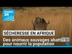 Sécheresse : certains pays d'Afrique abattent des animaux sauvages pour nourrir la population