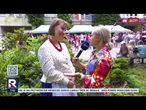 Koło Gospodyń z Głogoczowa – tradycja, smak i lokalne zwyczaje w jednym miejscu