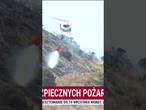 Pożar w Hiszpanii opanowany. Ponad 2,5 tysiąca hektarów lasu spłonęło