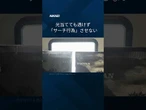 【トレカの袋を紙に】TOPPANが新技術 #shorts