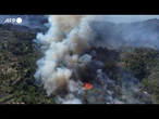 Siria, terzo giorno di incendi sulle montagne del distretto Latakia
