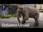 "Tarak" tippt auf Deutschland gegen Elfenbeinküste