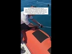 Tartaruga salvata al largo di Molfetta