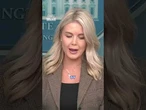 Trump to brand ANTIFA a terrorist organization