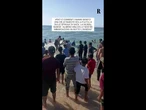 Una delle barche della Flotilla riesce a raggiungere la Striscia di Gaza