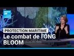 ONG BLOOM: "On est dans une campagne de dénigrement" affirme Claire Nouvian • FRANCE 24