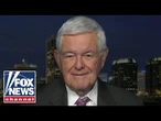 Newt Gingrich: This new Biden campaign push is 'childish'