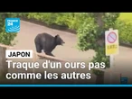 Japon : traque d'un ours "extrêmement intelligent", les autorités appellent à la prudence
