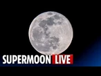 LIVE: Stunning Supermoon rises over Sydney's iconic Bondi Beach