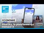 BlueSky, le réseau social qui fait trembler Twitter • FRANCE 24