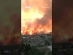 Four Brits feared among eleven dead in Spain wildfires