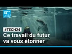 IA : les métiers qui disparaissent, et ceux – surprenants – qui émergent • FRANCE 24