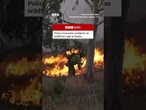 Dozens of people evacuated from their homes in central Spain. #Wildfires #Spain #BBCNews