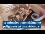 Tarántulas, un escorpión extremadamente venenoso... Vendía hasta 32 animales peligrosos