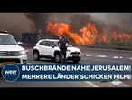 WALDBRÄNDE IN ISRAEL: Einsatzkräfte kämpfen in Jerusalem gegen verheerende Flammen