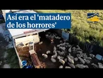 Así era el 'matadero de los horrores' que distribuía carne sin control a varios restaurantes chinos