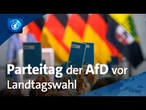 Sachsen-Anhalt: AfD stellt vor Landtagswahl 100-Tage-Programm vor