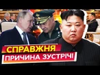 ПОСІПАКА Путіна ШОЙГУ з ВІЗИТОМ у Кім Чен Ина! РФ та КНДР ДОМОВИЛИСЬ про... ШОКУЮЧІ ДЕТАЛІ!