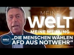 LUDWIGSHAFEN: "Akt von Realitätsflucht" Eklat um von der SPD ausgeschalteten AFD-Kandidaten!