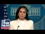 JUST IN: Tulsi Gabbard drops BOMBSHELL allegation against Fauci