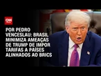 Análise: Brasil minimiza ameaças de Trump de impor tarifas a países alinhados ao Brics | CNN Arena
