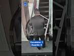 Security guards carrying tables get tangled in escalator