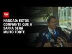 Haddad: Estou confiante que a safra será muito forte | LIVE CNN