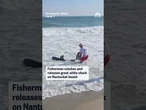 Fisherman catches and releases great white shark in Nantucket