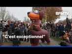 Quelque 2.500 teckels ont défilé dans les rues de la capitale pour la "Paris Sausage Walk"